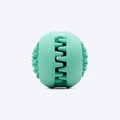 Dash Dog Explorer's Shell Chew Toy For Dog - Teal