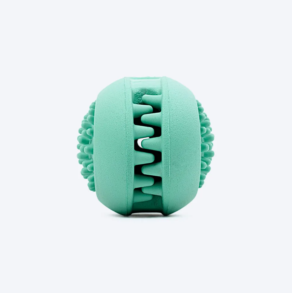 Dash Dog Explorer's Shell Chew Toy For Dog - Teal