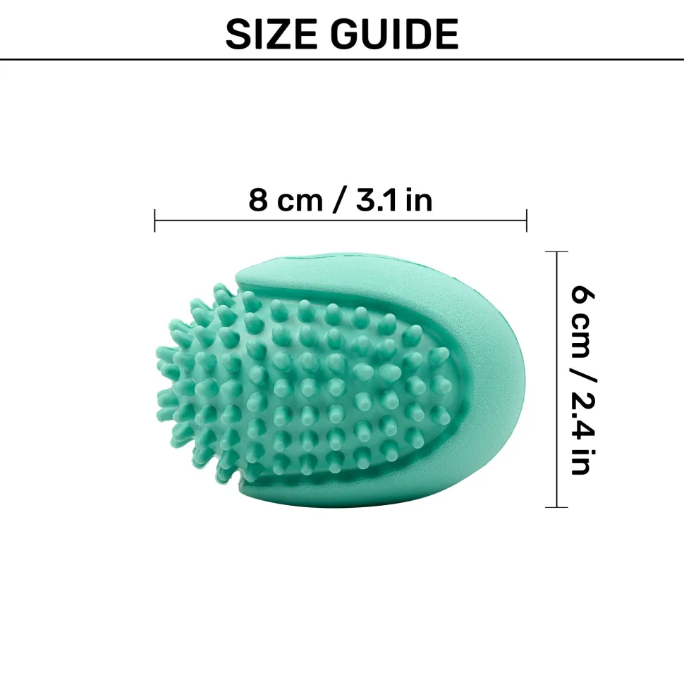 Dash Dog Explorer's Shell Chew Toy For Dog - Teal