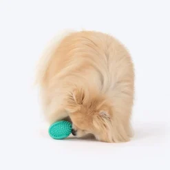 Dash Dog Explorer's Shell Chew Toy For Dog - Teal