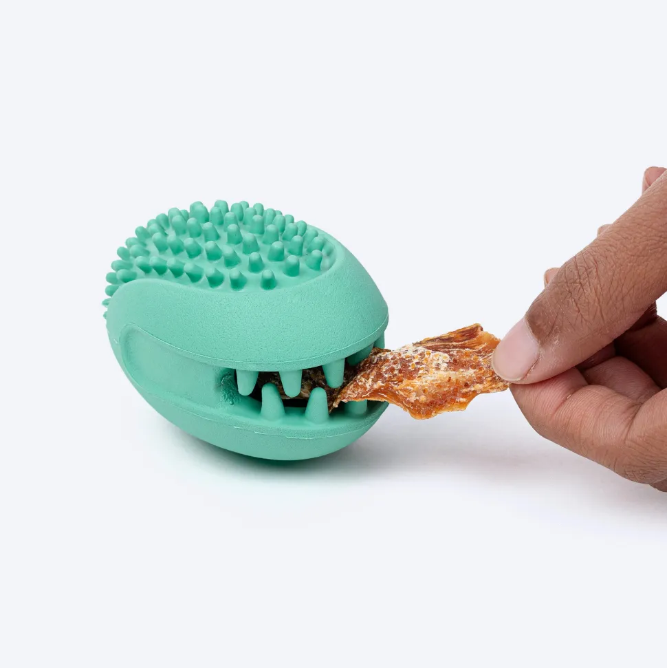 Dash Dog Explorer's Shell Chew Toy For Dog - Teal