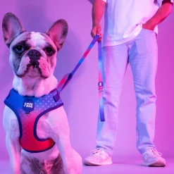 Dash Dog Flow Easy Walk Harness - Violet & Red