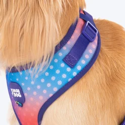 Dash Dog Flow Easy Walk Harness - Violet & Red