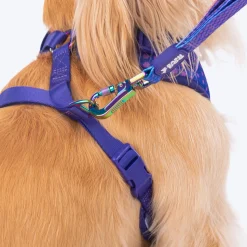 Dash Dog Flow Easy Walk Harness - Violet & Red