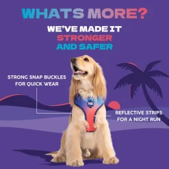 Dash Dog Flow Easy Walk Harness - Violet & Red