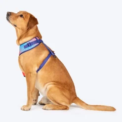 Dash Dog Flow Easy Walk Harness - Violet & Red