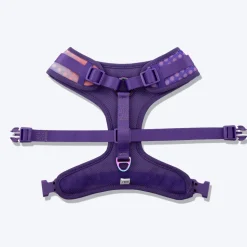 Dash Dog Flow Easy Walk Harness - Violet & Red