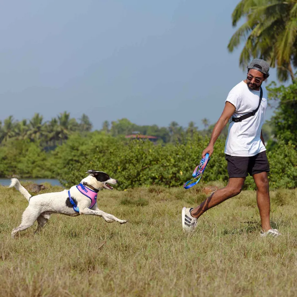 Dash Dog Flow Easy Walk Harness - Pink & Aqua Blue