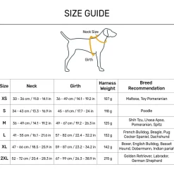 Dash Dog Flow Easy Walk Harness - Pink & Aqua Blue