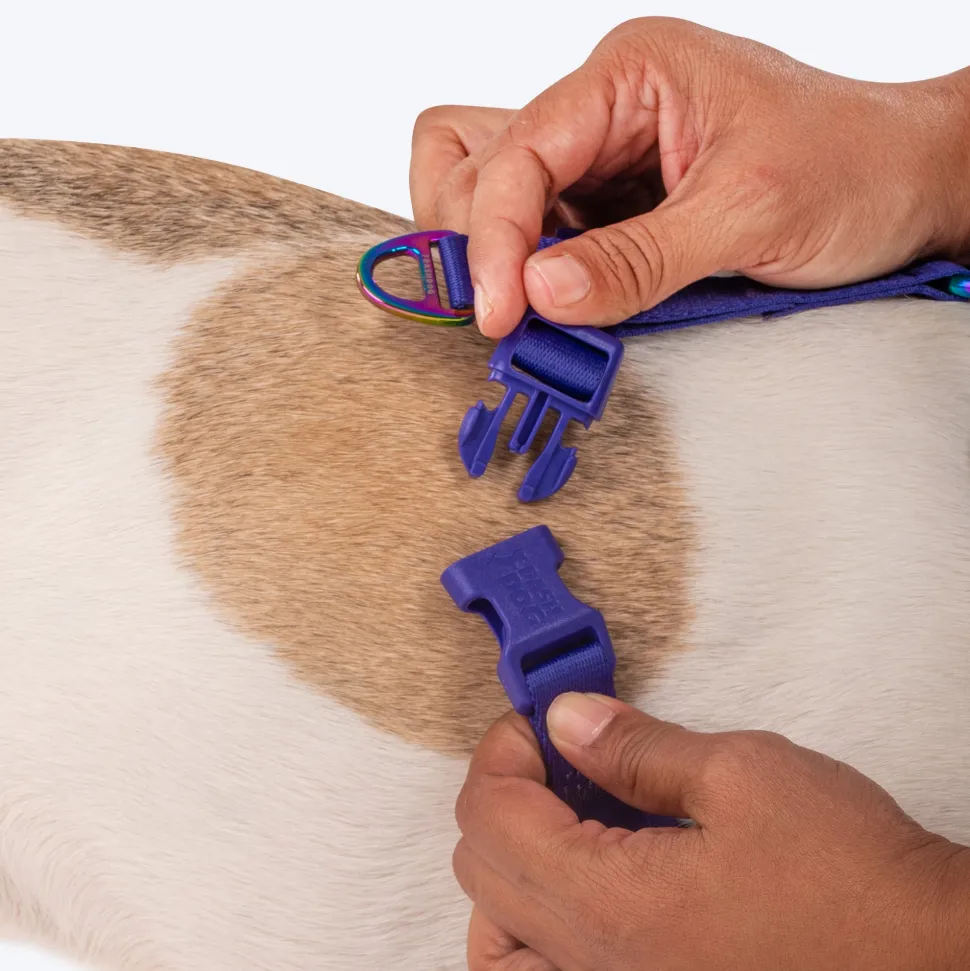 Dash Dog Flow Easy Walk Harness - Pink & Aqua Blue