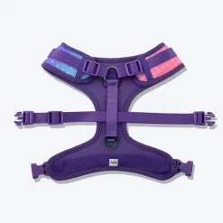 Dash Dog Flow Easy Walk Harness - Pink & Aqua Blue