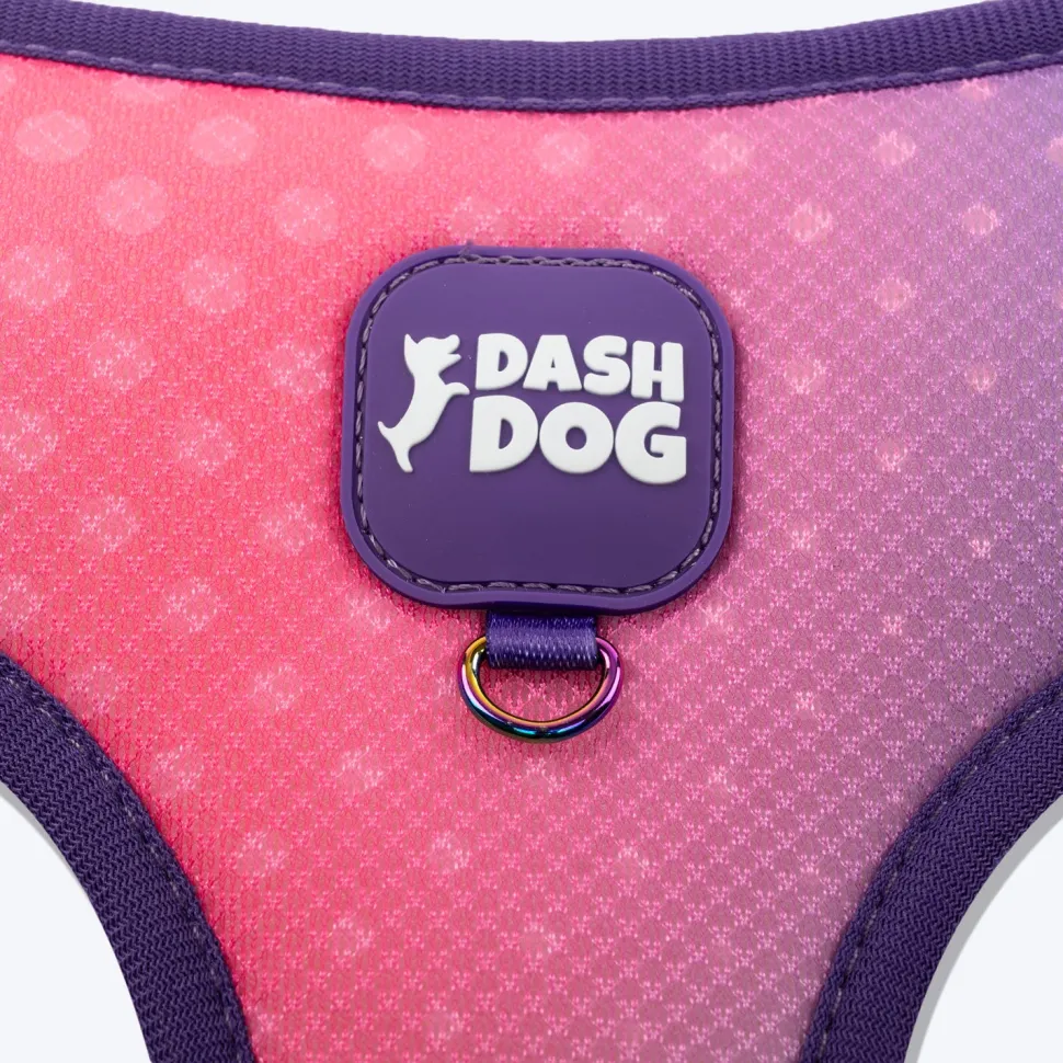 Dash Dog Flow Easy Walk Harness - Pink & Aqua Blue