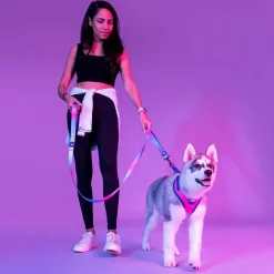 Dash Dog Flow Easy Walk Harness - Pink & Aqua Blue