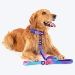 Dash Dog Flow Printed Leash - Pink & Aqua Blue