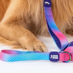Dash Dog Flow Printed Leash - Pink & Aqua Blue