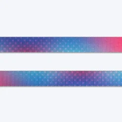 Dash Dog Flow Printed Leash - Pink & Aqua Blue