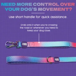 Dash Dog Flow Printed Leash - Pink & Aqua Blue