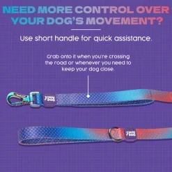 Dash Dog Flow Printed Leash - Violet & Red