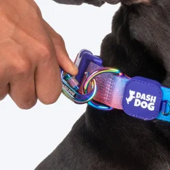 Dash Dog Flow Printed Leash - Violet & Red