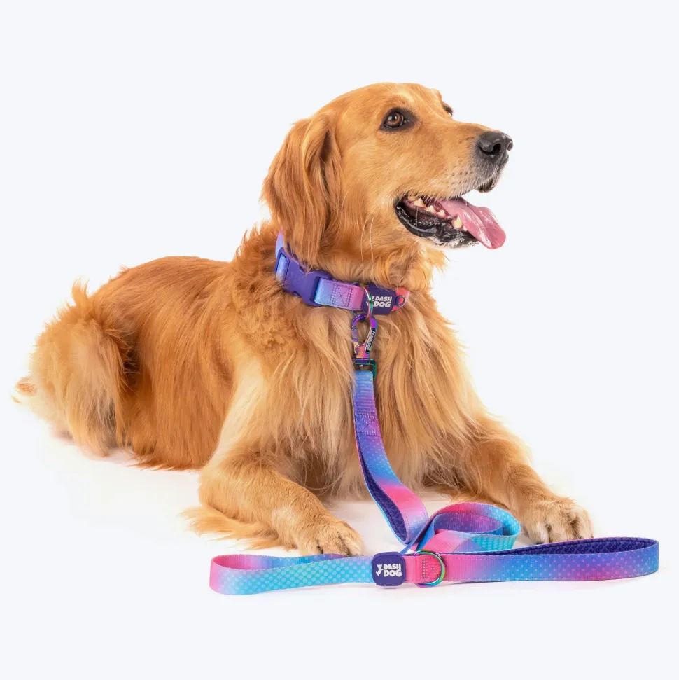 Dash Dog Flow Print Leash - Pink & Aqua Blue