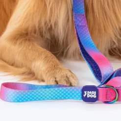 Dash Dog Flow Print Leash - Pink & Aqua Blue