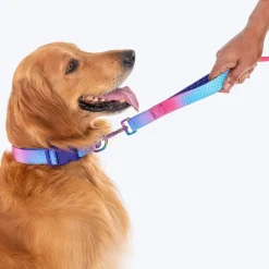 Dash Dog Flow Print Leash - Pink & Aqua Blue