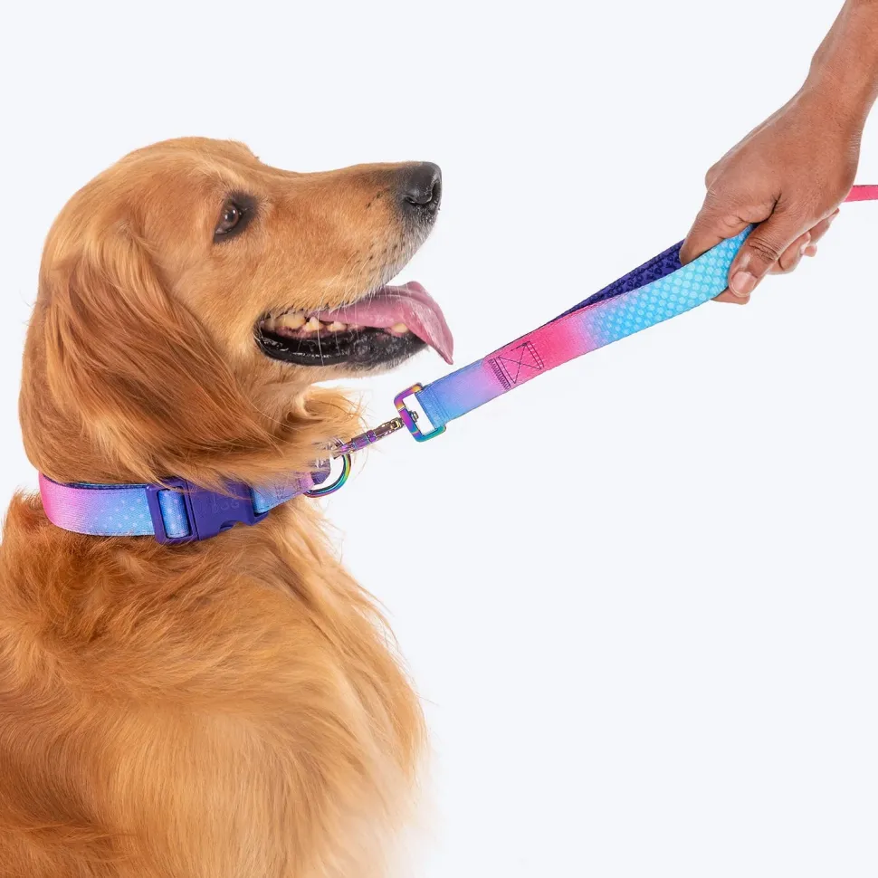 Dash Dog Flow Print Leash - Pink & Aqua Blue