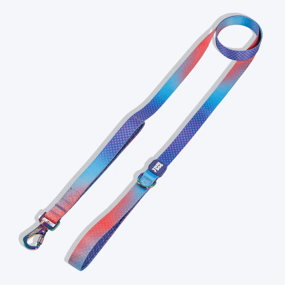 Dash Dog Flow Print Leash - Violet & Red