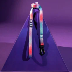 Dash Dog Flow Print Leash - Violet & Red