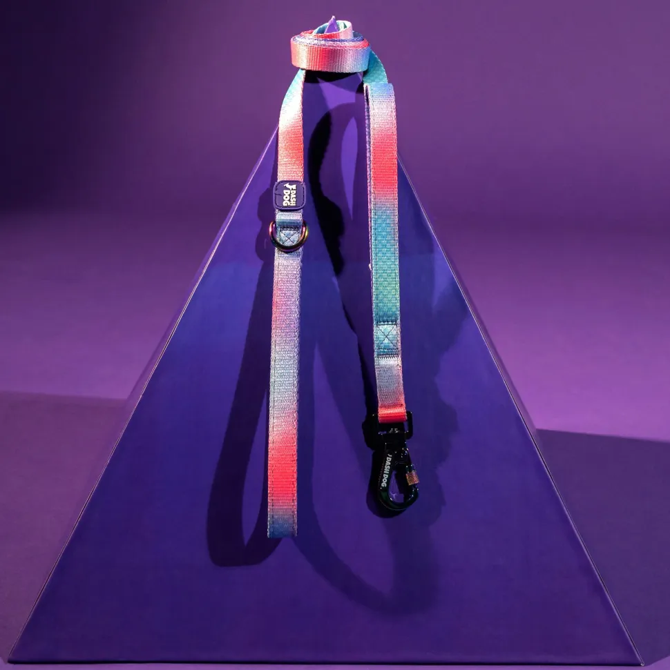 Dash Dog Flow Print Leash - Violet & Red