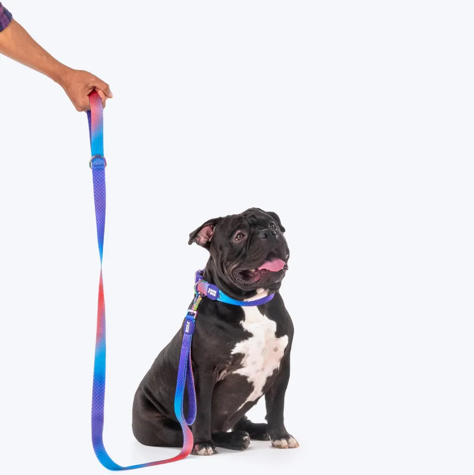 Dash Dog Flow Print Leash - Violet & Red