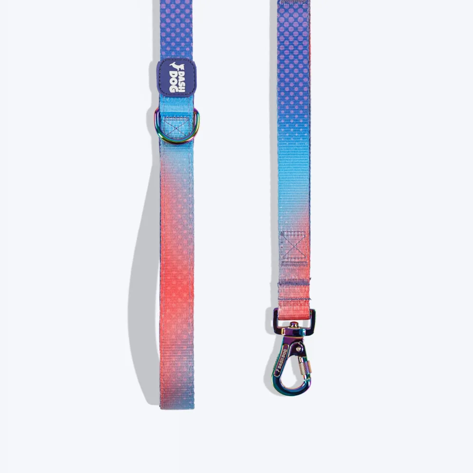 Dash Dog Flow Print Leash - Violet & Red
