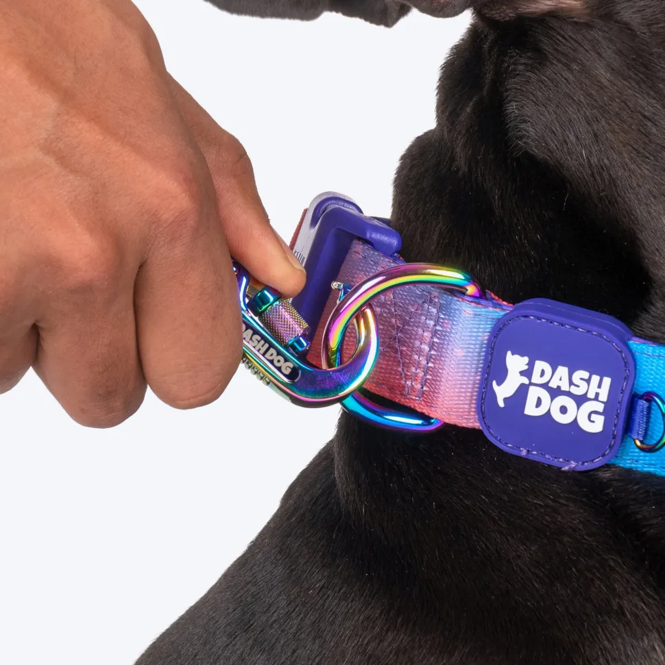 Dash Dog Flow Print Leash - Violet & Red