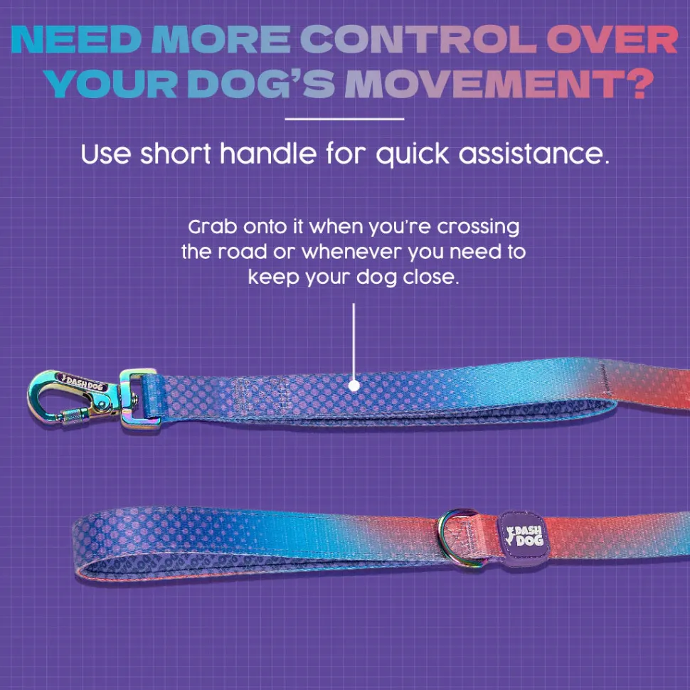 Dash Dog Flow Print Leash - Violet & Red