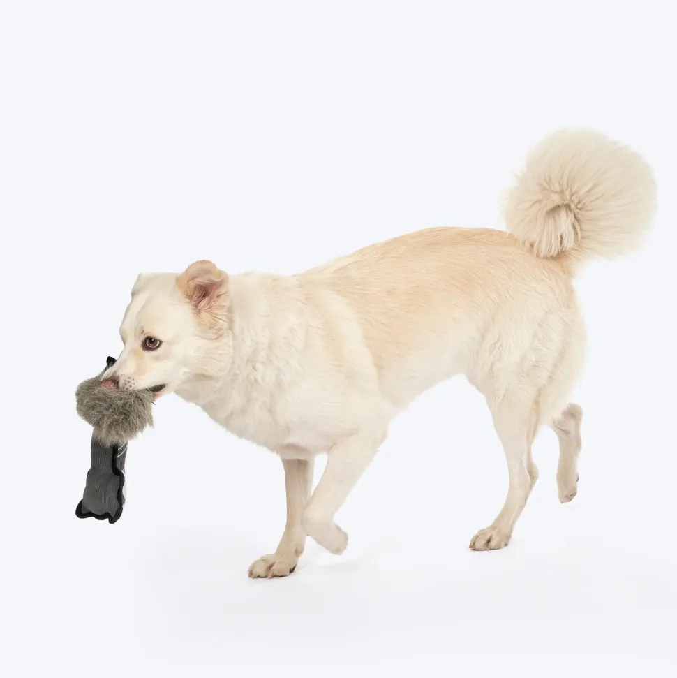 Dash Dog Forest Fox Plush Toy For Dog - Grey