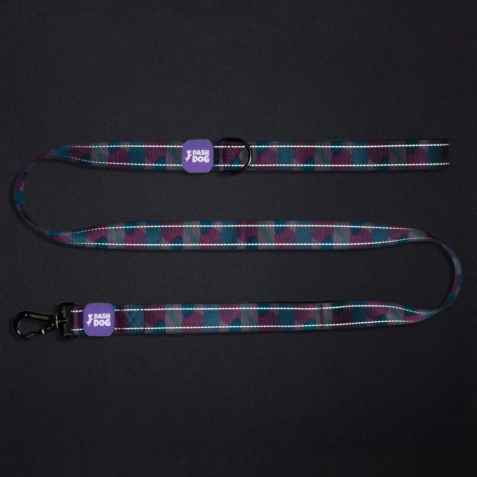 Dash Dog Galaxy Dual Handle Leash For Dog - Purple