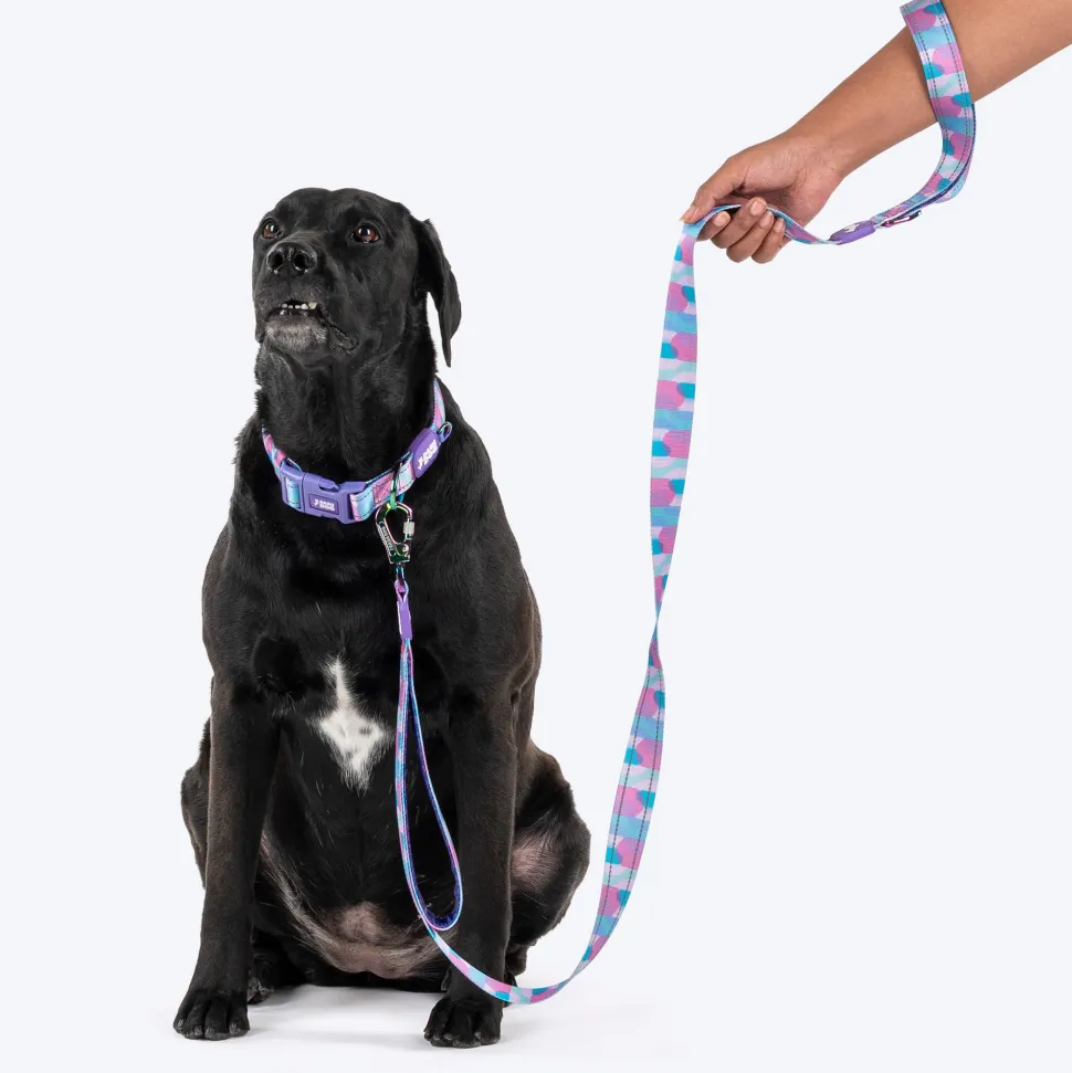 Dash Dog Galaxy Dual Handle Leash For Dog - Purple
