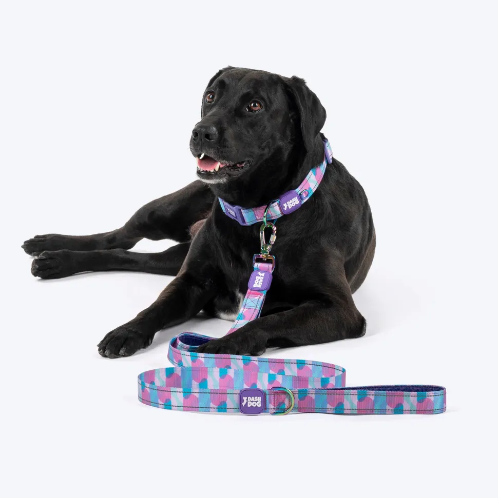 Dash Dog Galaxy Dual Handle Leash For Dog - Purple