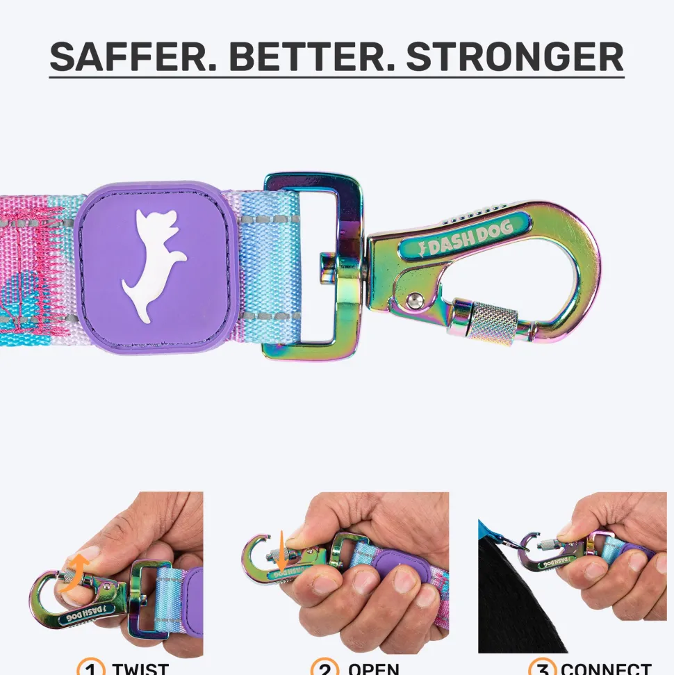 Dash Dog Galaxy Dual Handle Leash For Dog - Purple