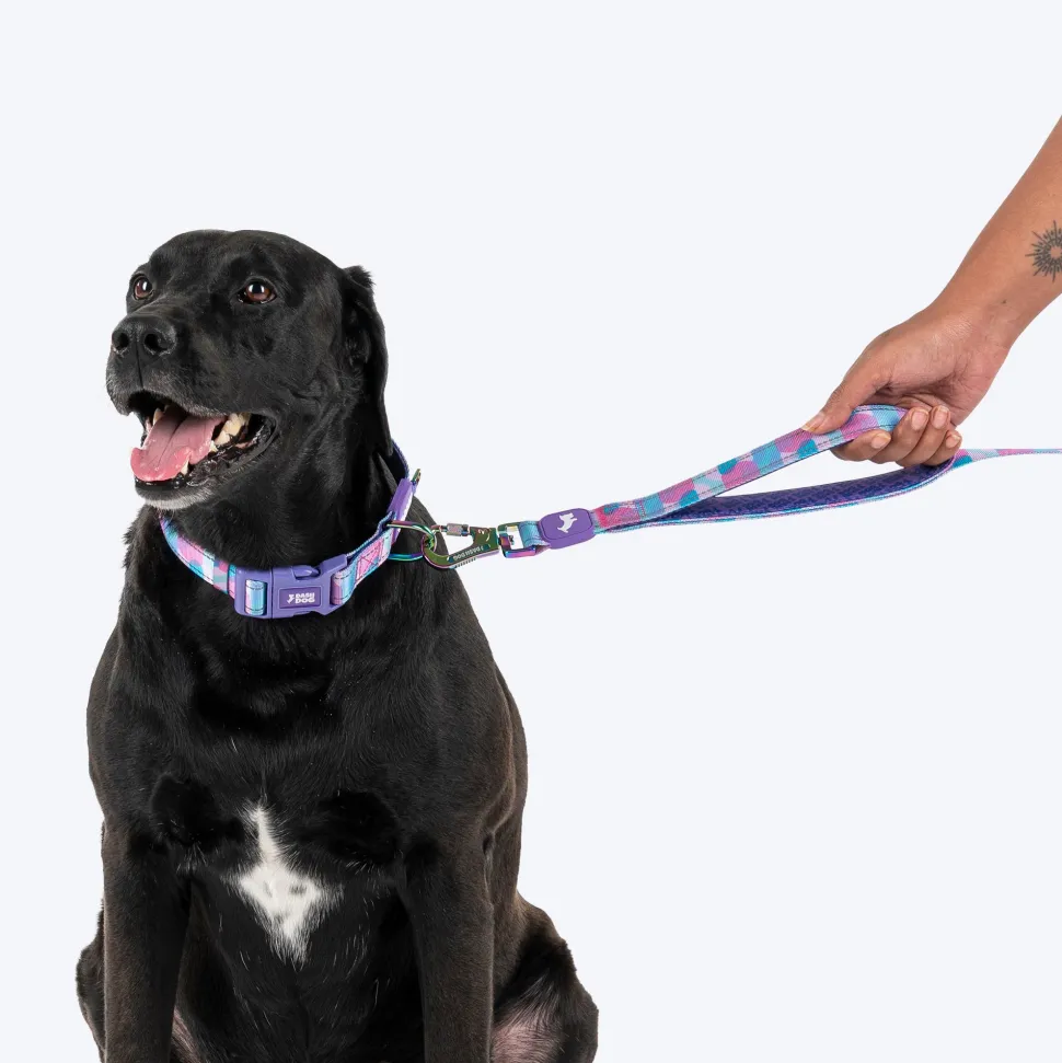Dash Dog Galaxy Dual Handle Leash For Dog - Purple