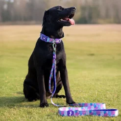 Dash Dog Galaxy Dual Handle Leash For Dog - Purple