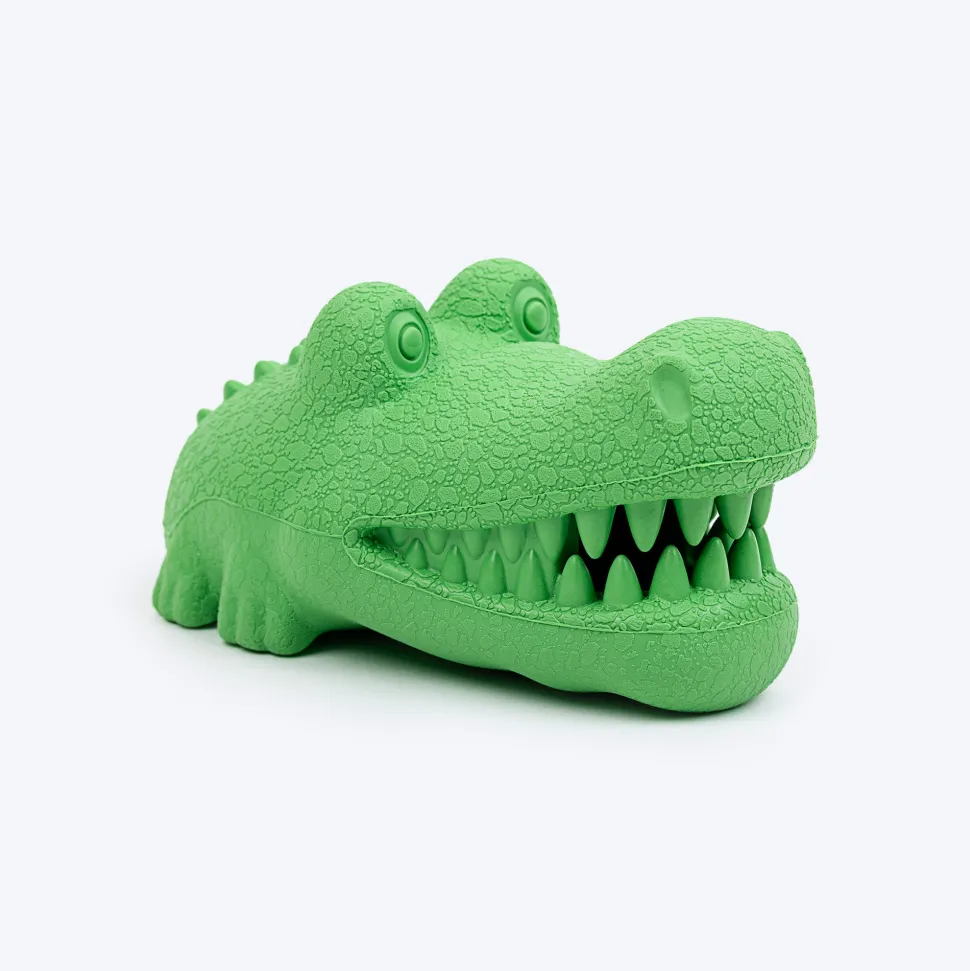 Dash Dog Goofy Gator Chew Toy For Dog - Green