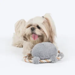 Dash Dog Happy Hippo Squeaky Plush Toy For Dog - Grey