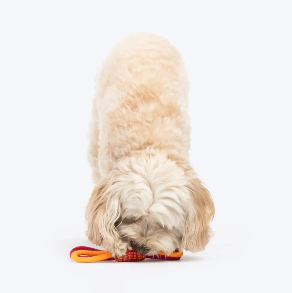Dash Dog Loopster Rope Toy For Dog - Pink & Orange