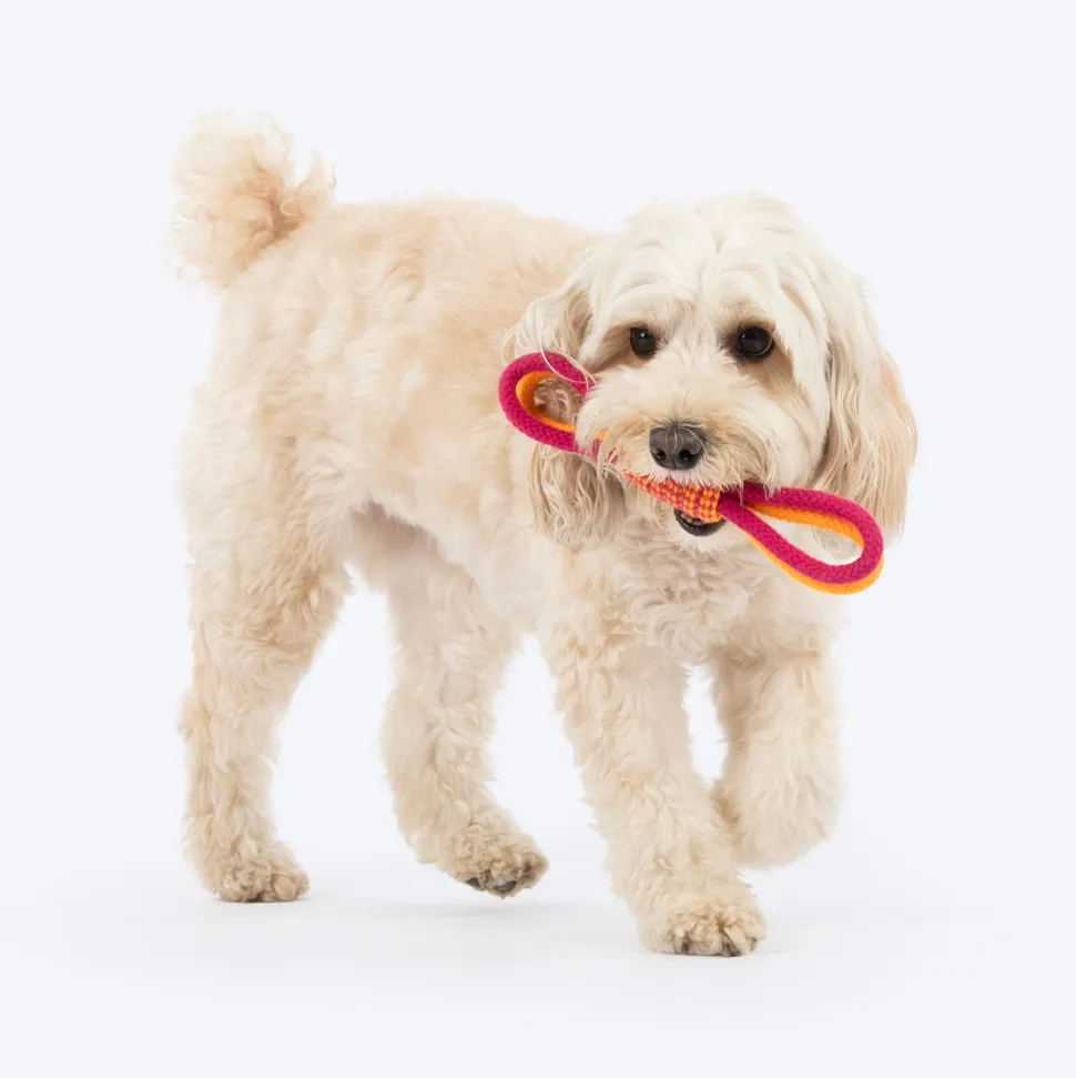 Dash Dog Loopster Rope Toy For Dog - Pink & Orange