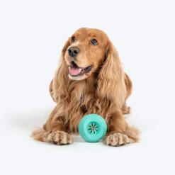 Dash Dog Mighty Football Chew Toy For Dog - Blue