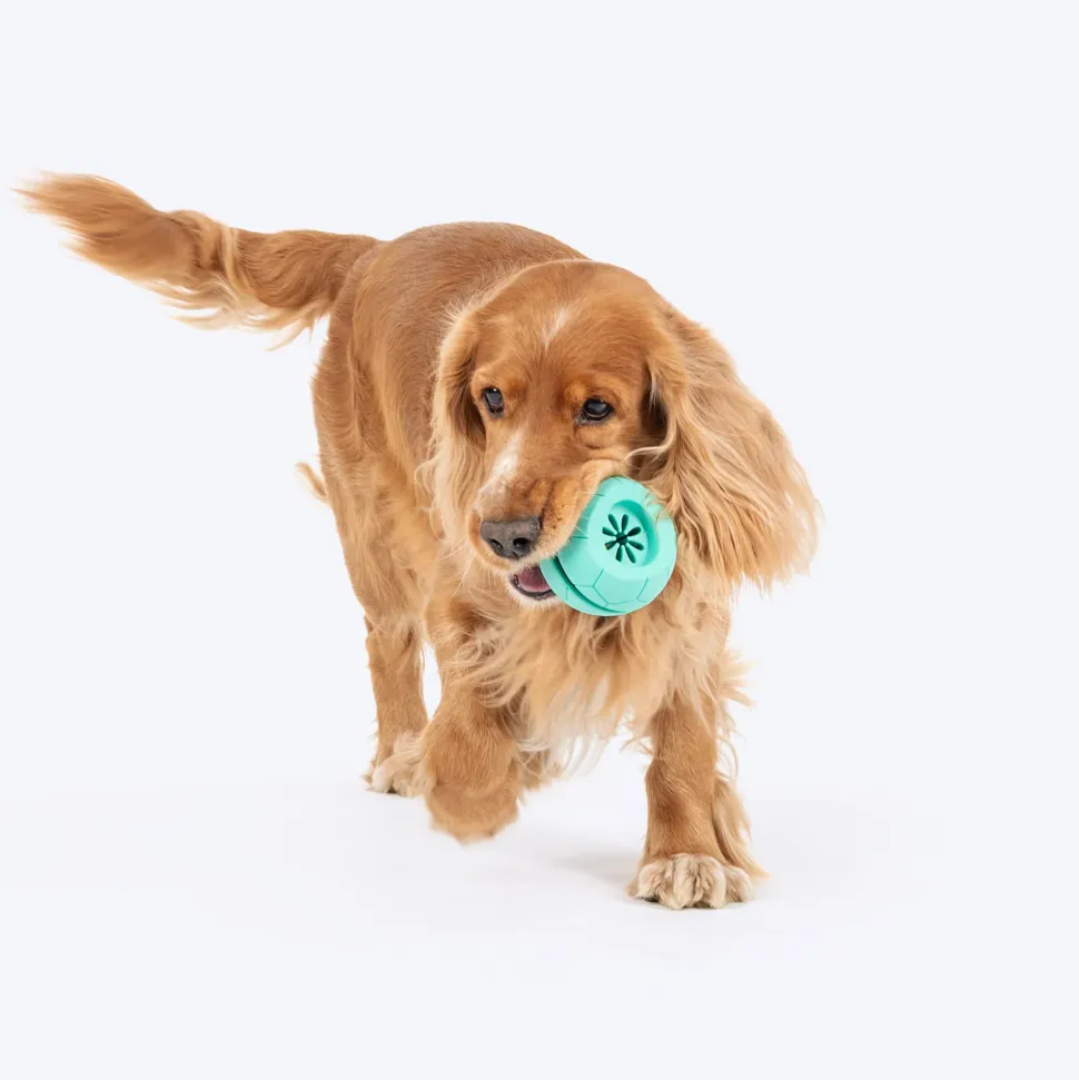 Dash Dog Mighty Football Chew Toy For Dog - Blue