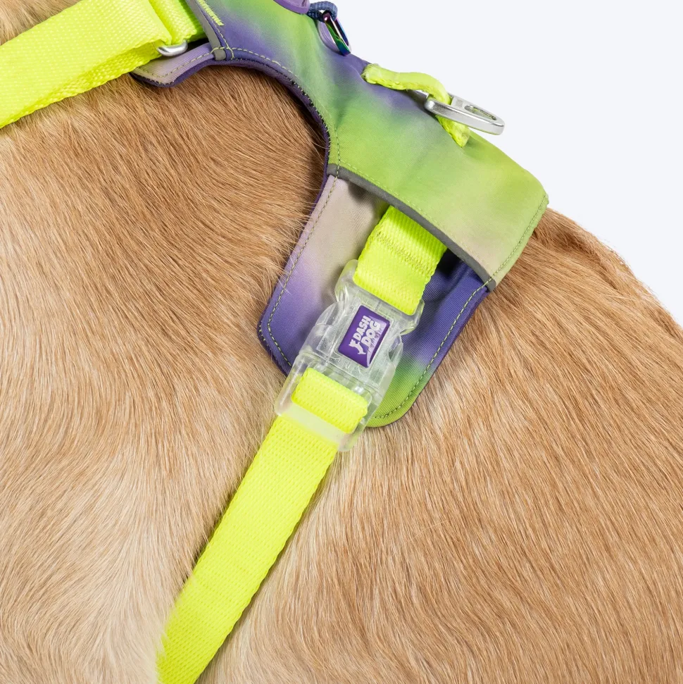 Dash Dog Neon Fusion Outdoor Ease Harness For Dog - Neon Green