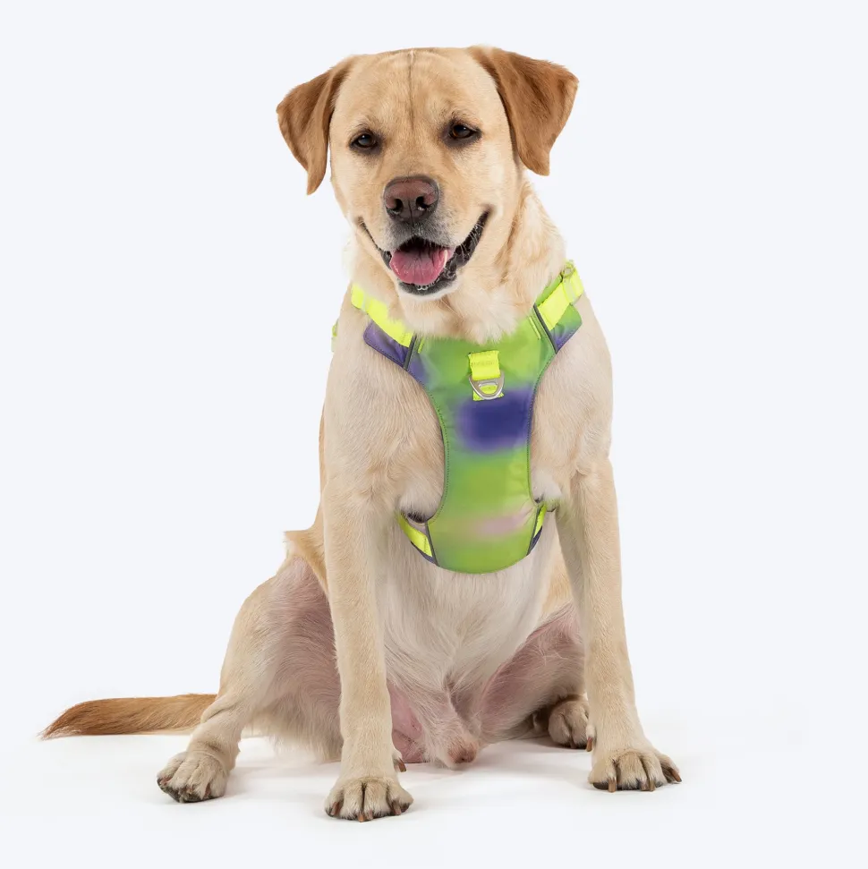 Dash Dog Neon Fusion Outdoor Ease Harness For Dog - Neon Green