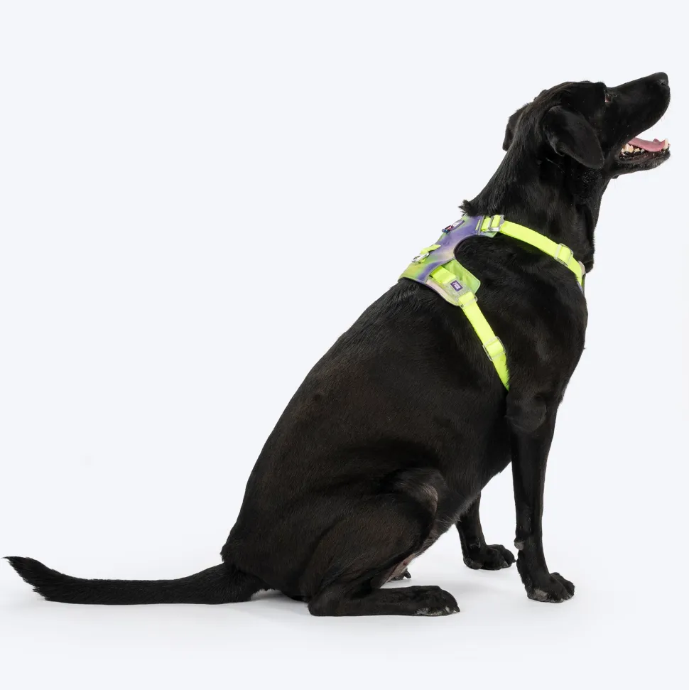 Dash Dog Neon Fusion Outdoor Ease Harness For Dog - Neon Green